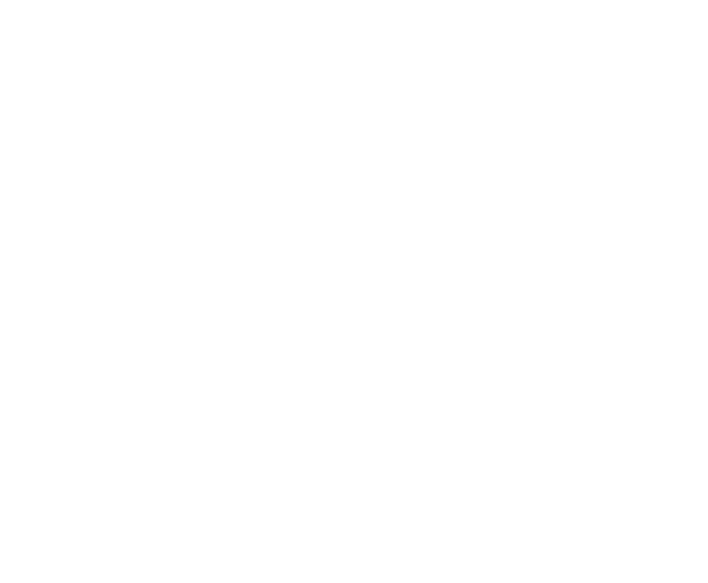 Min Stora Dag